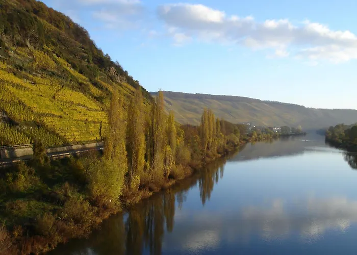 Mosel Ferienresidenz Zickzack Thornich